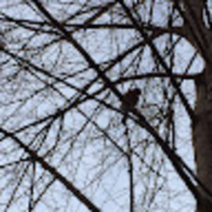 Meet your Posher, Geniz